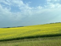 IMG_3836.jpeg