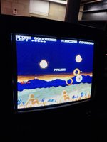 IMG_5165.jpeg