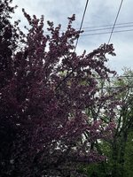 IMG_6822.jpeg