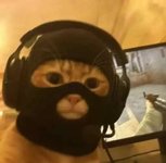 cat mask.jpeg
