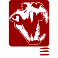 lions3
