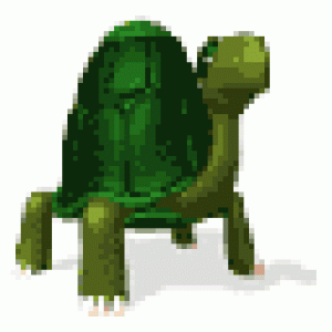 3423.gif