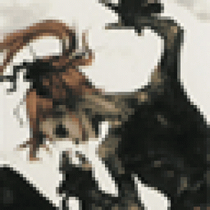 00005214.gif