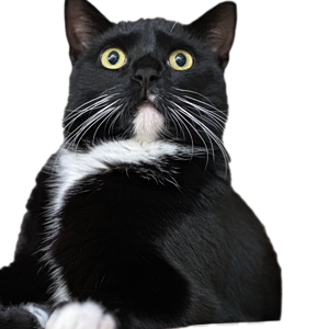 Marvin.png